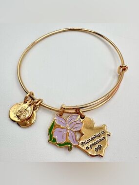 Alex And Ani Iris Flower 'Friendship Is A Precious Gift' Charm Bangle Bracelet